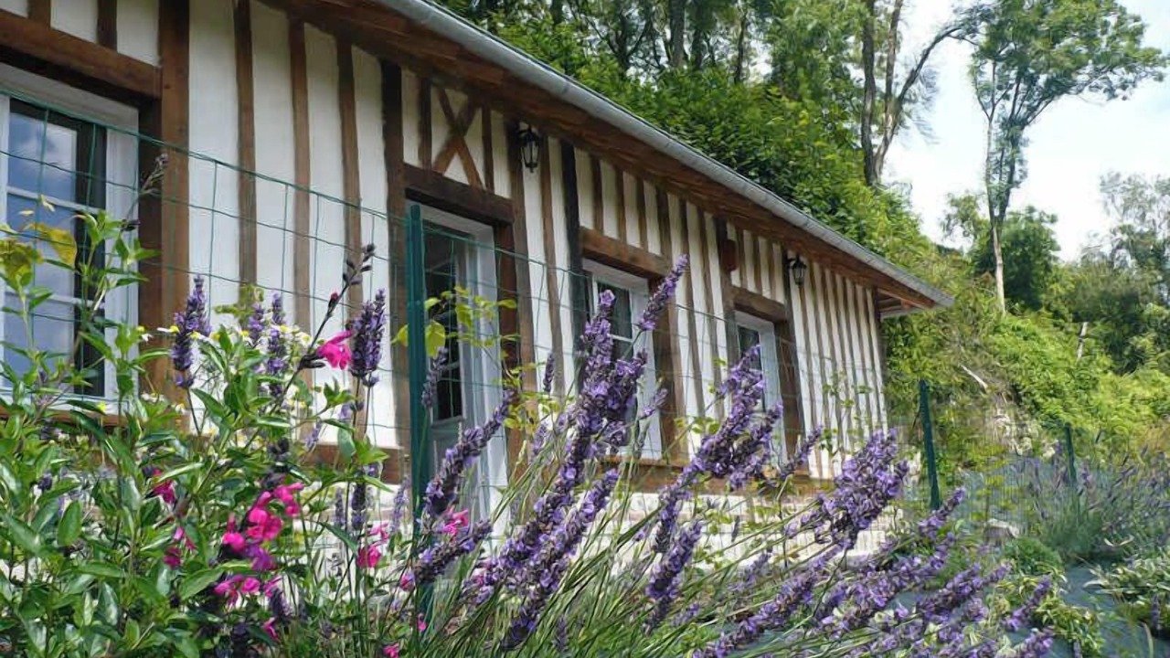 Photo of Outdoor in Saint-Martin-aux-Buneaux