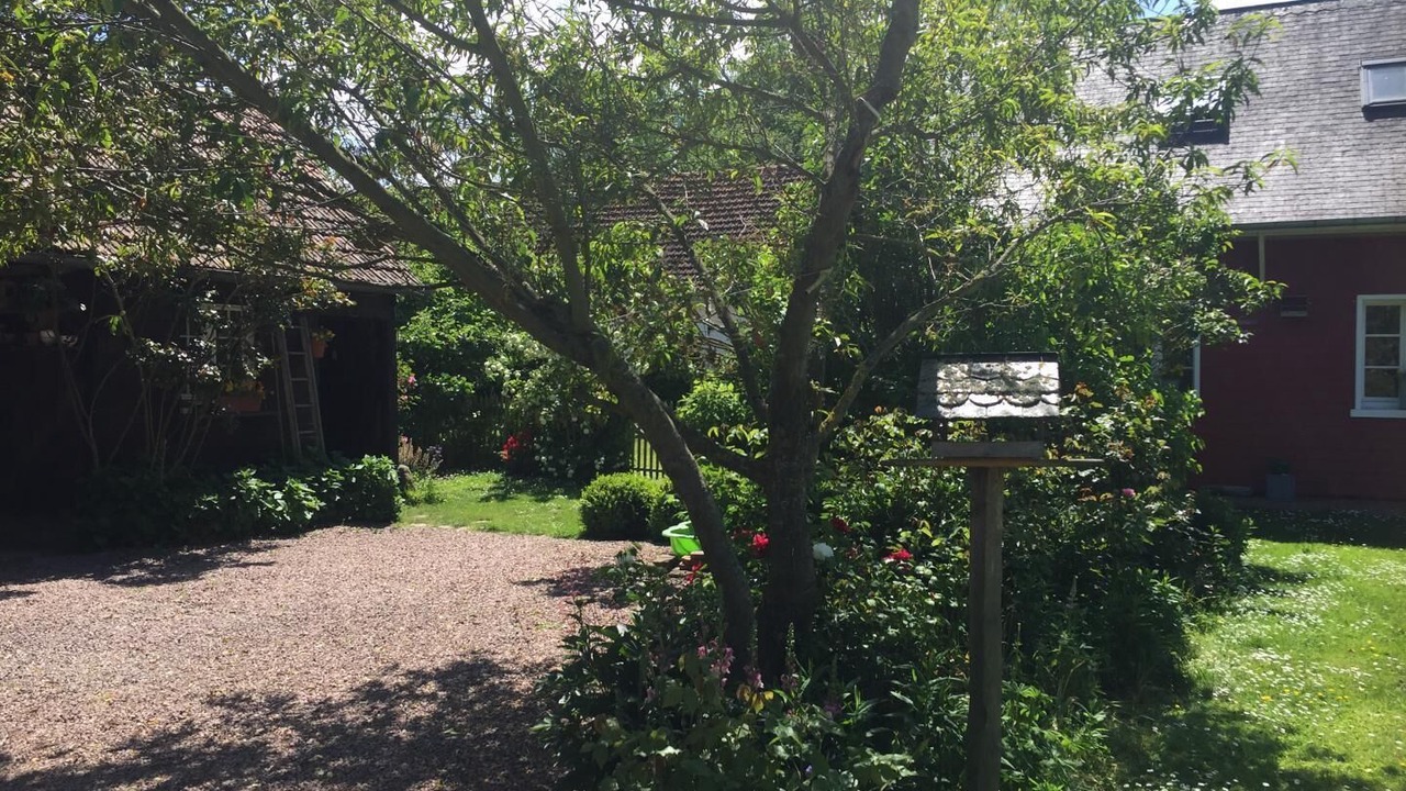 Photo of Outdoor in Saint-Martin-le-Gaillard