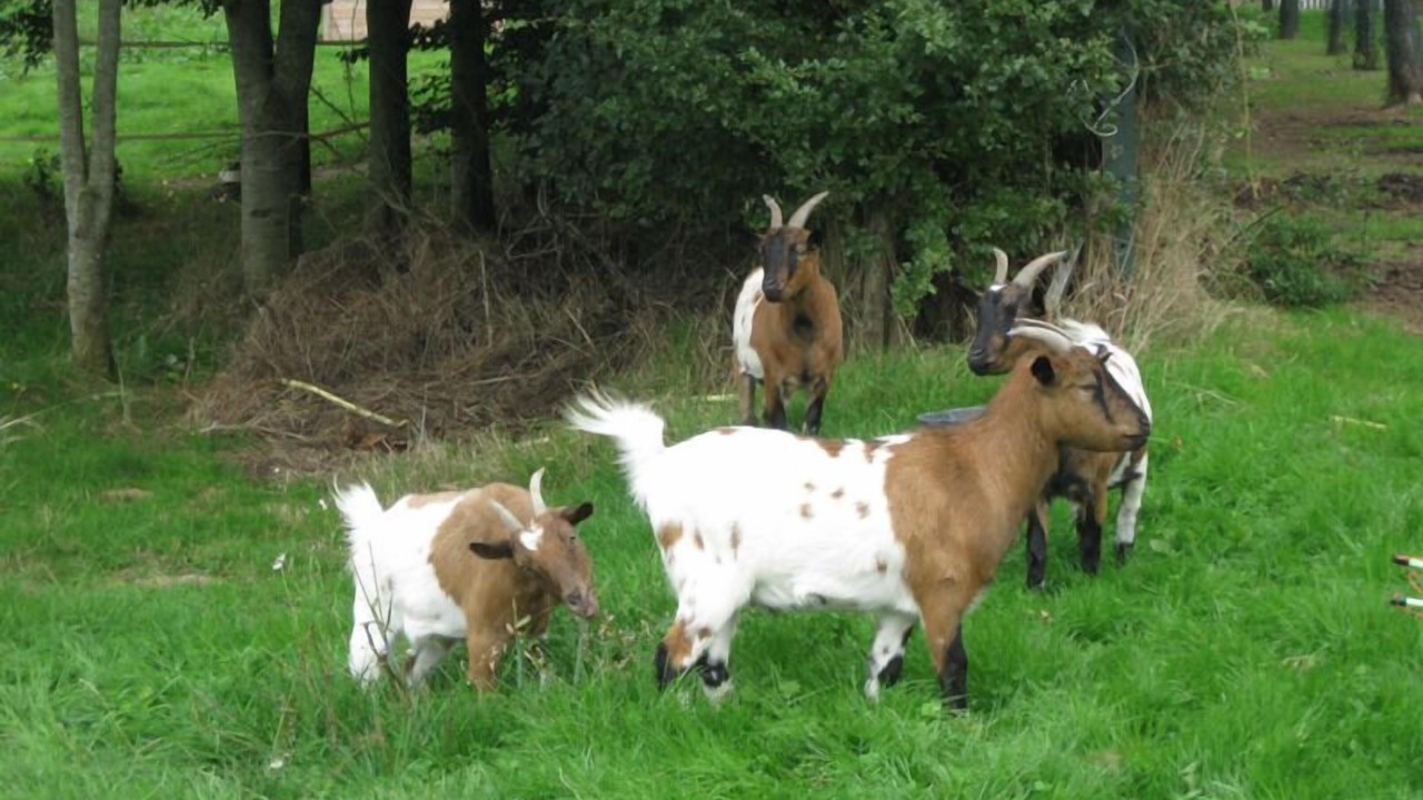 Photo of Others in Sassetot-le-Mauconduit