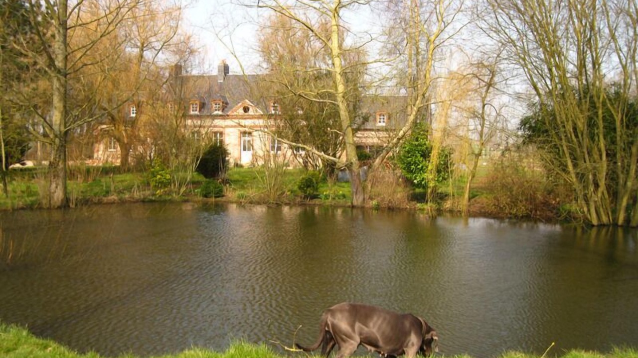 Photo of Outdoor in Sassetot-le-Mauconduit