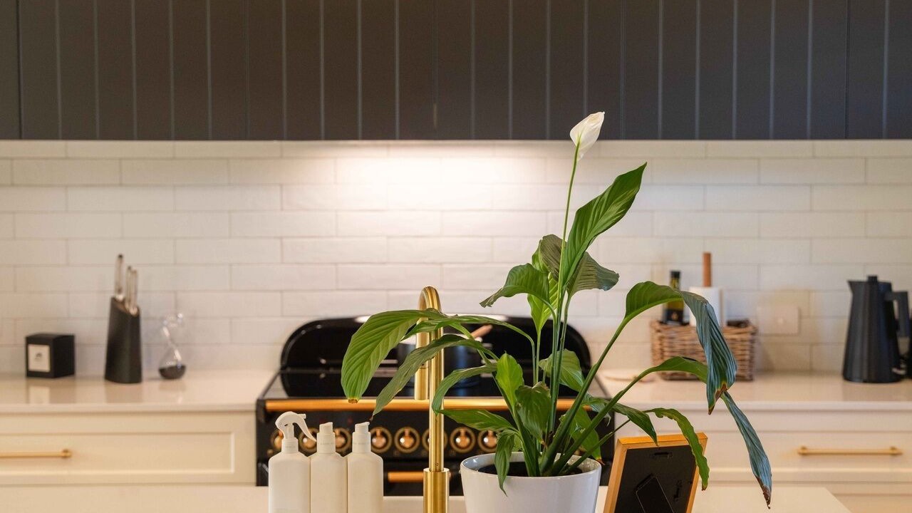 Photo of Others in Currency Creek