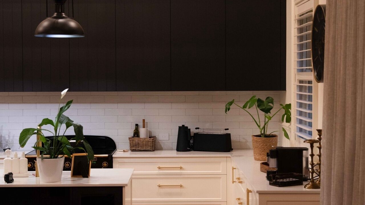 Photo of Others in Currency Creek