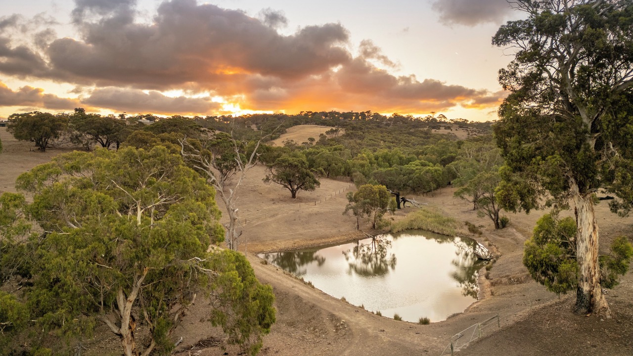 Photo of Others in Currency Creek