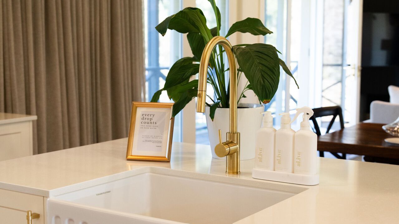 Photo of Others in Currency Creek