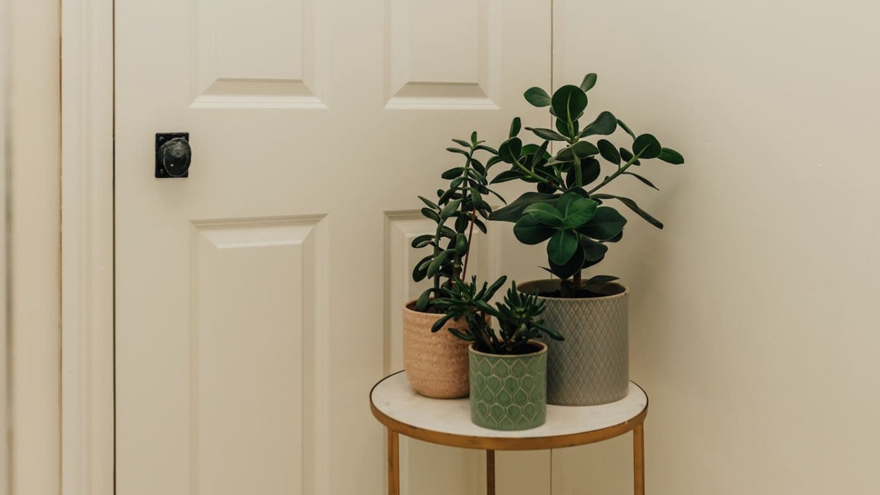 Photo of Others in Henley-on-Thames