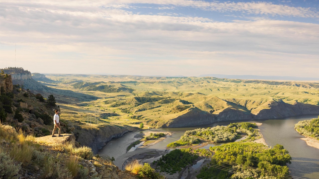 Photo of Others in Billings