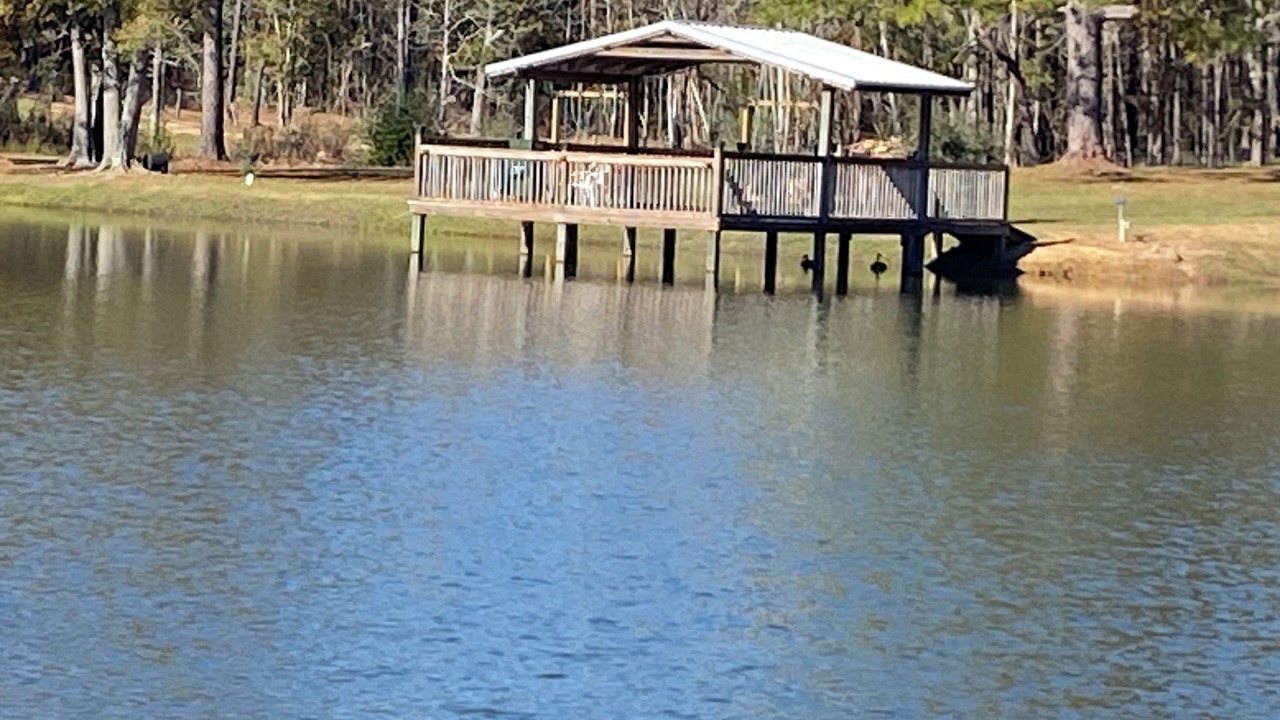 Photo of Others in Mississippi Gulf Coast