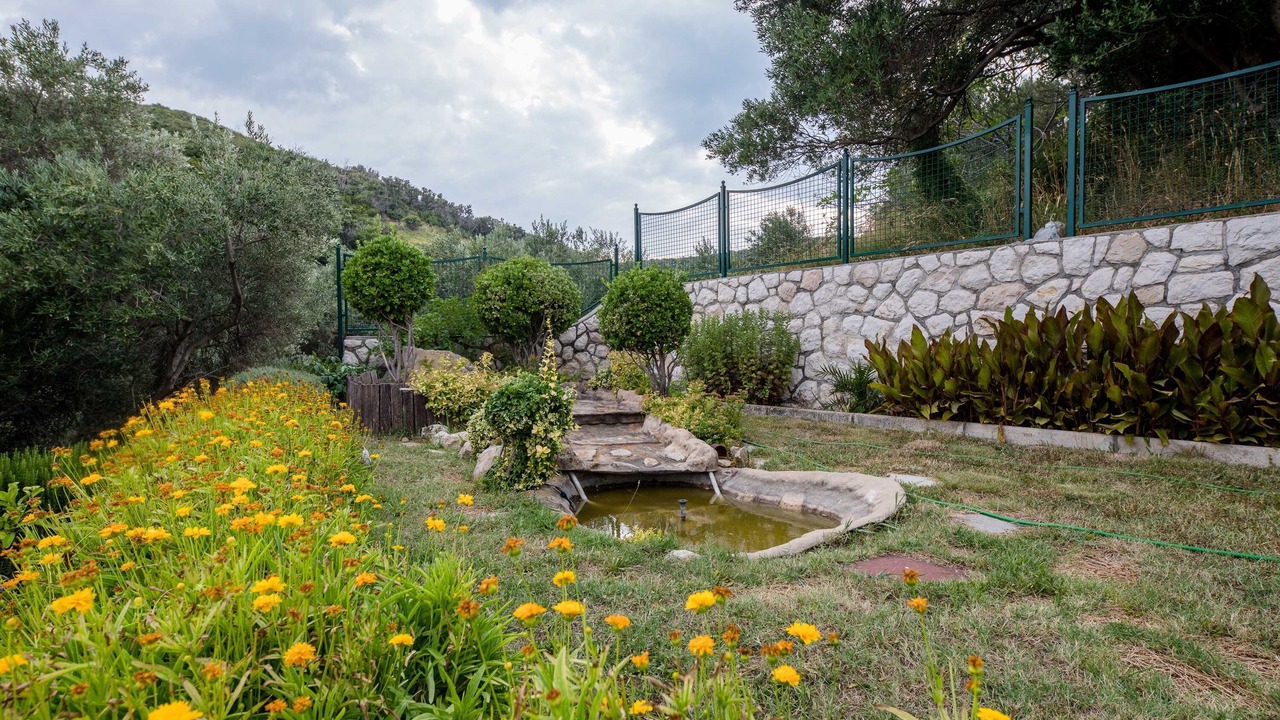 Photo of Outdoor in Supetarska Draga