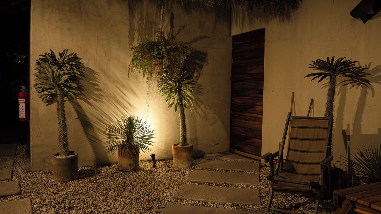 Photo of Outdoor in Perula