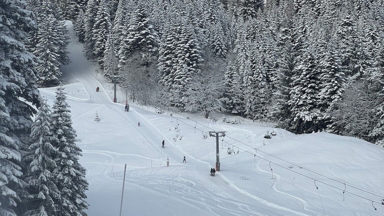 Photo of Others in Torgon