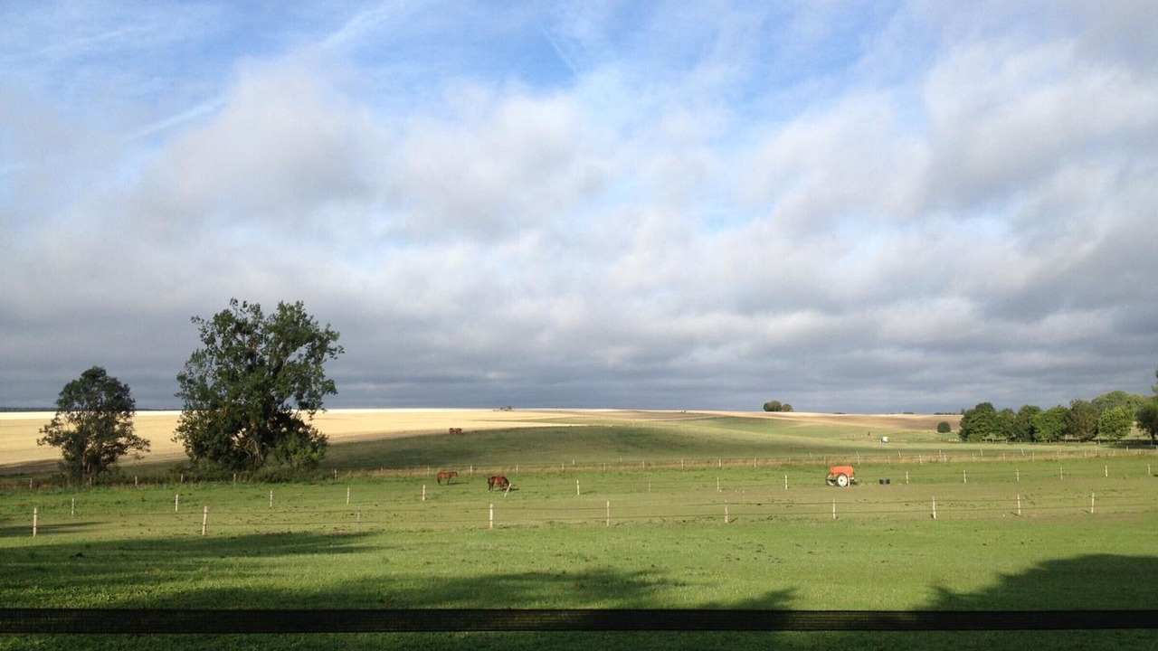 Photo of Others in Bailly