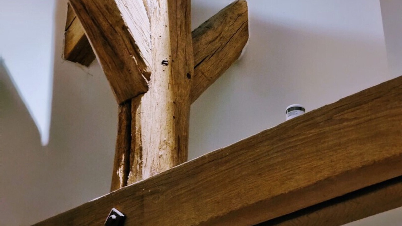 Photo of Others in Bailly