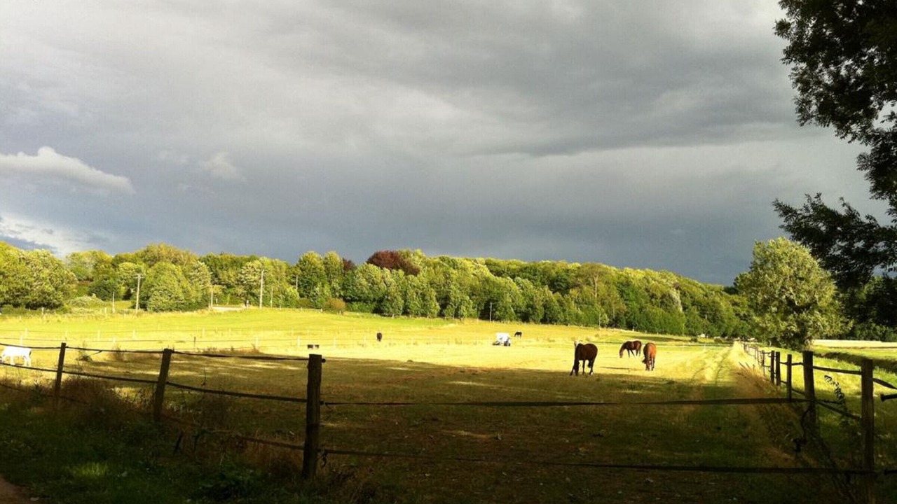 Photo of Others in Bailly