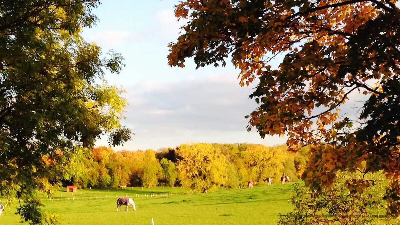 Photo of Others in Bailly