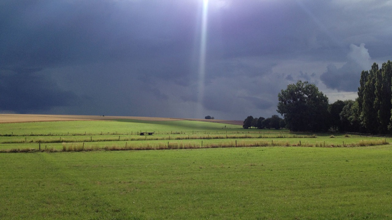 Photo of Others in Bailly