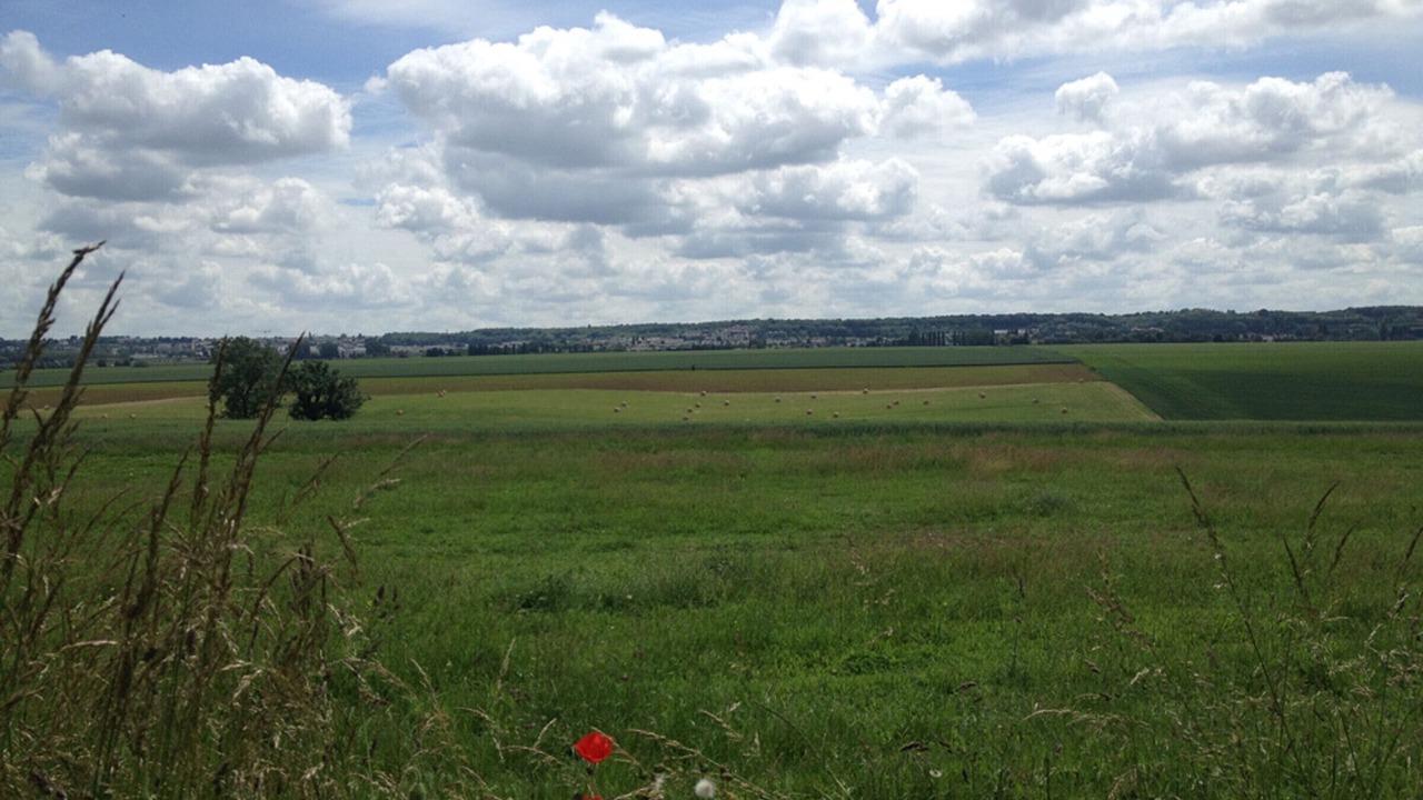 Photo of Others in Bailly