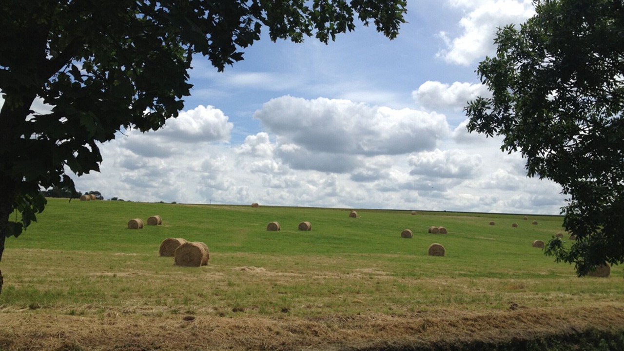 Photo of Others in Bailly