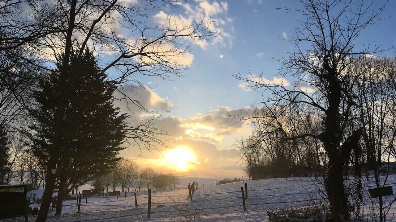 Photo of Others in Bailly