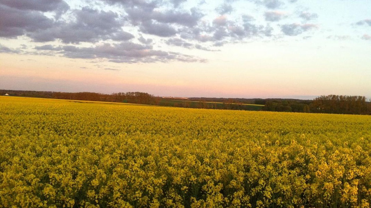 Photo of Others in Bailly