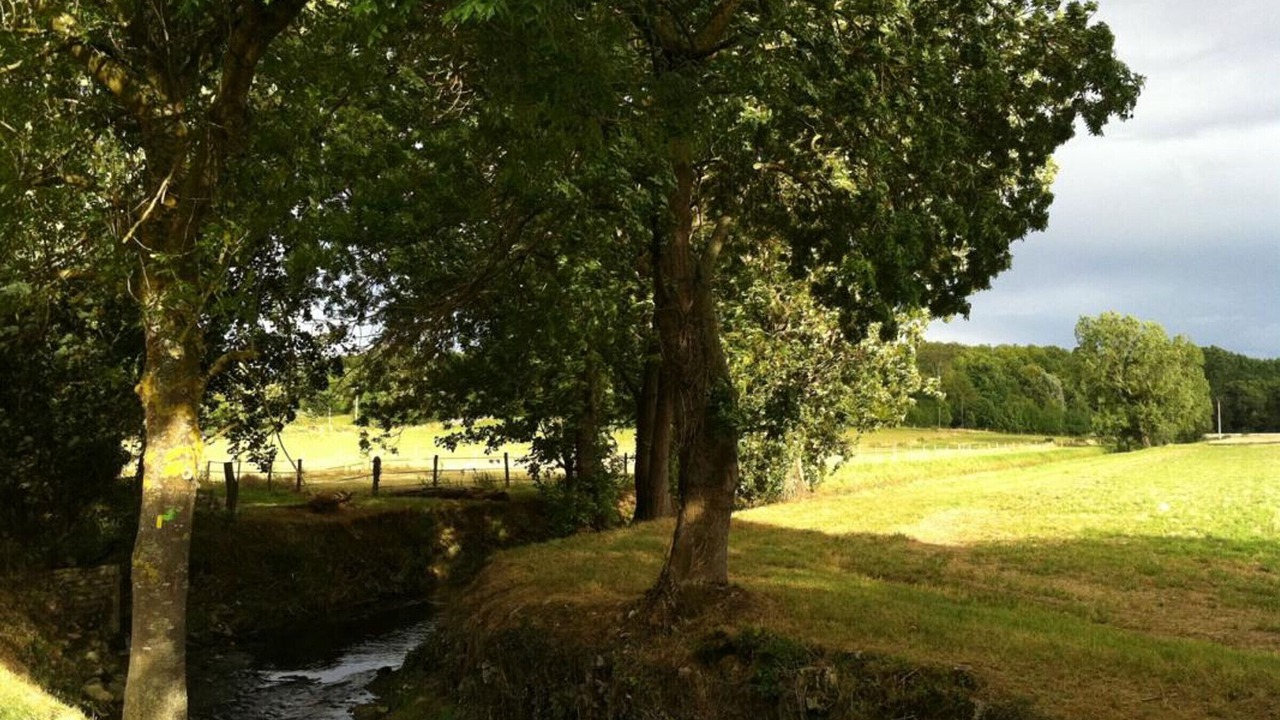 Photo of Others in Bailly