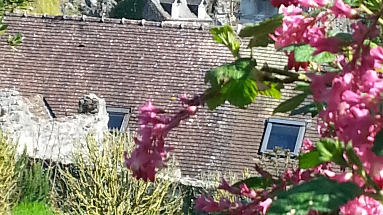 Photo of Others in Fresnay-sur-Sarthe