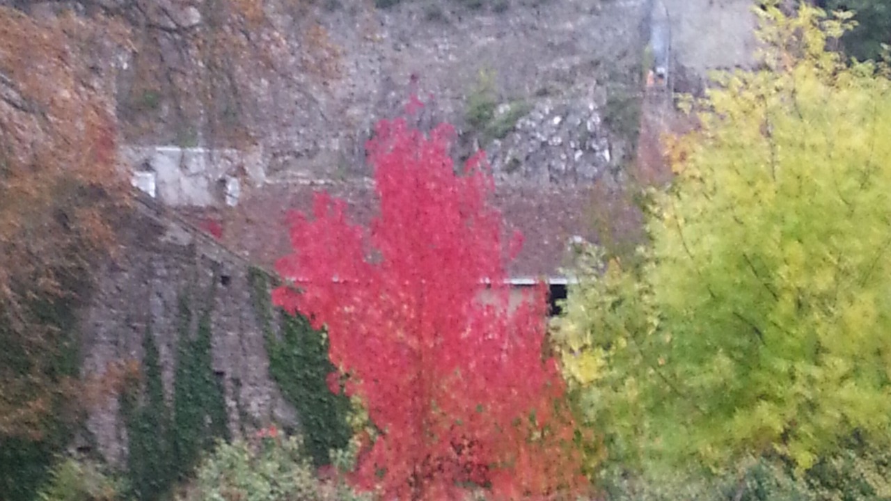Photo of Others in Fresnay-sur-Sarthe