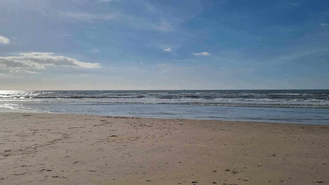 Photo of Others in Equihen-Plage