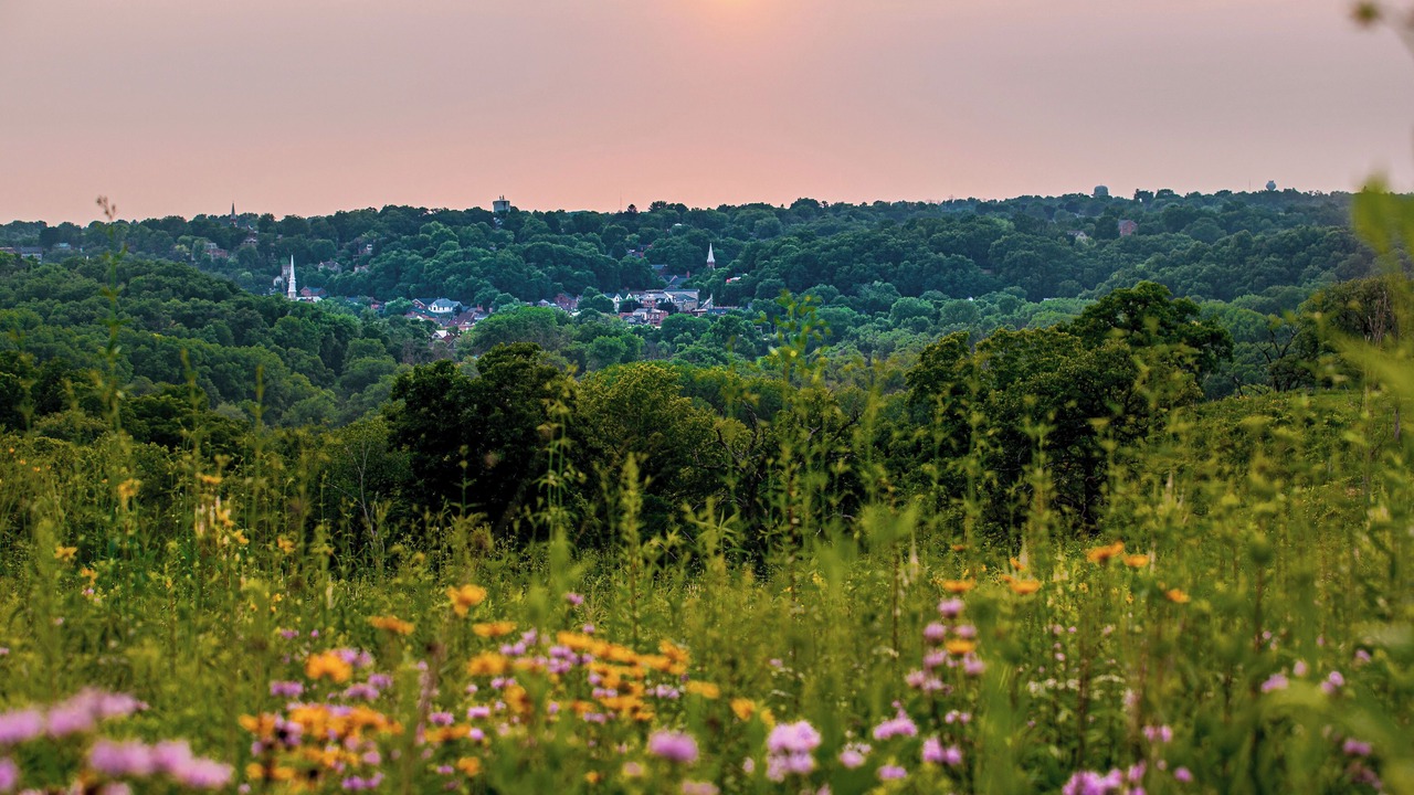 Photo of Others in The Galena Territory