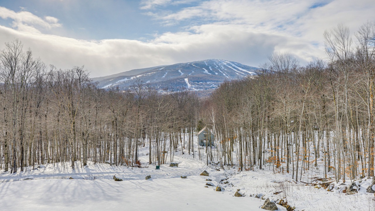 Photo of Others in Stratton Mountain