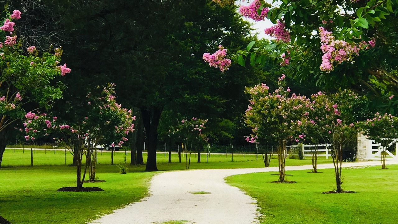 Photo of Outdoor in Clifton
