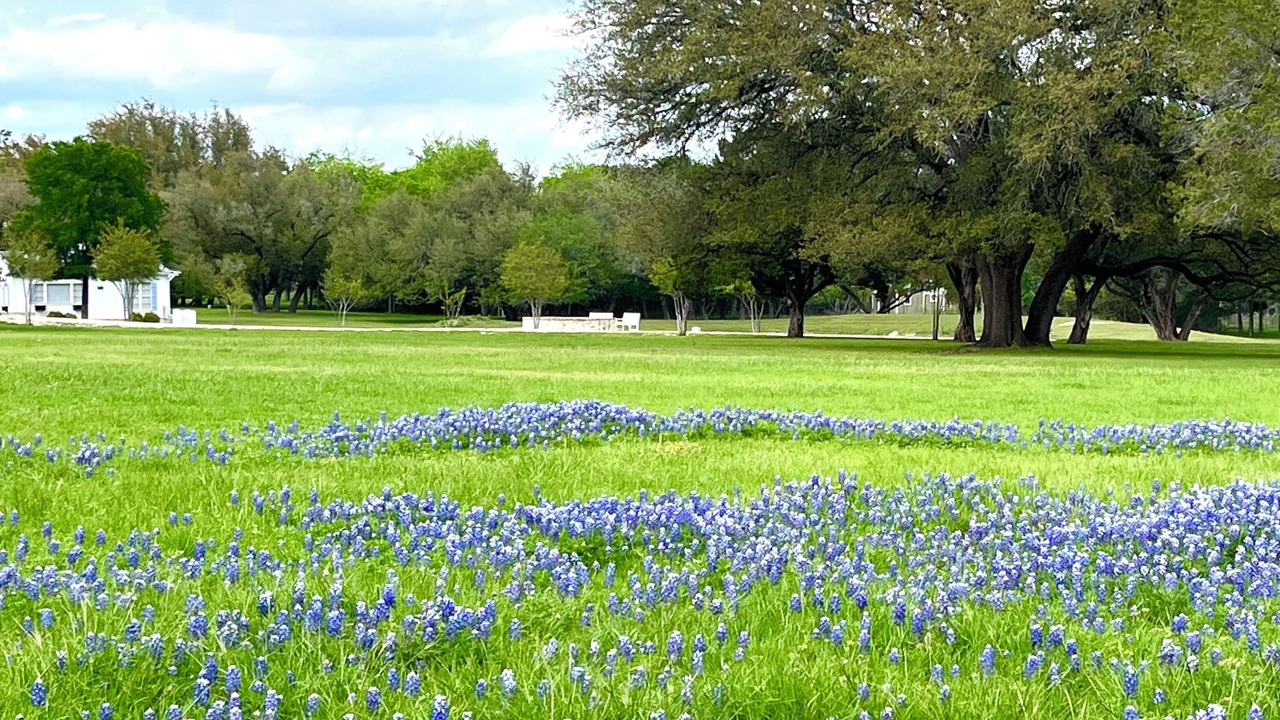 Photo of Outdoor in Clifton