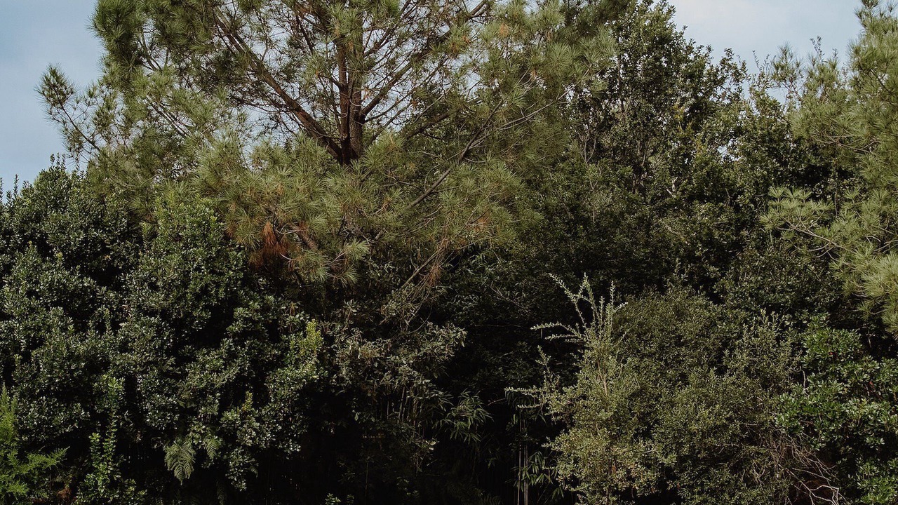 Photo of Outdoor in Soorts-Hossegor