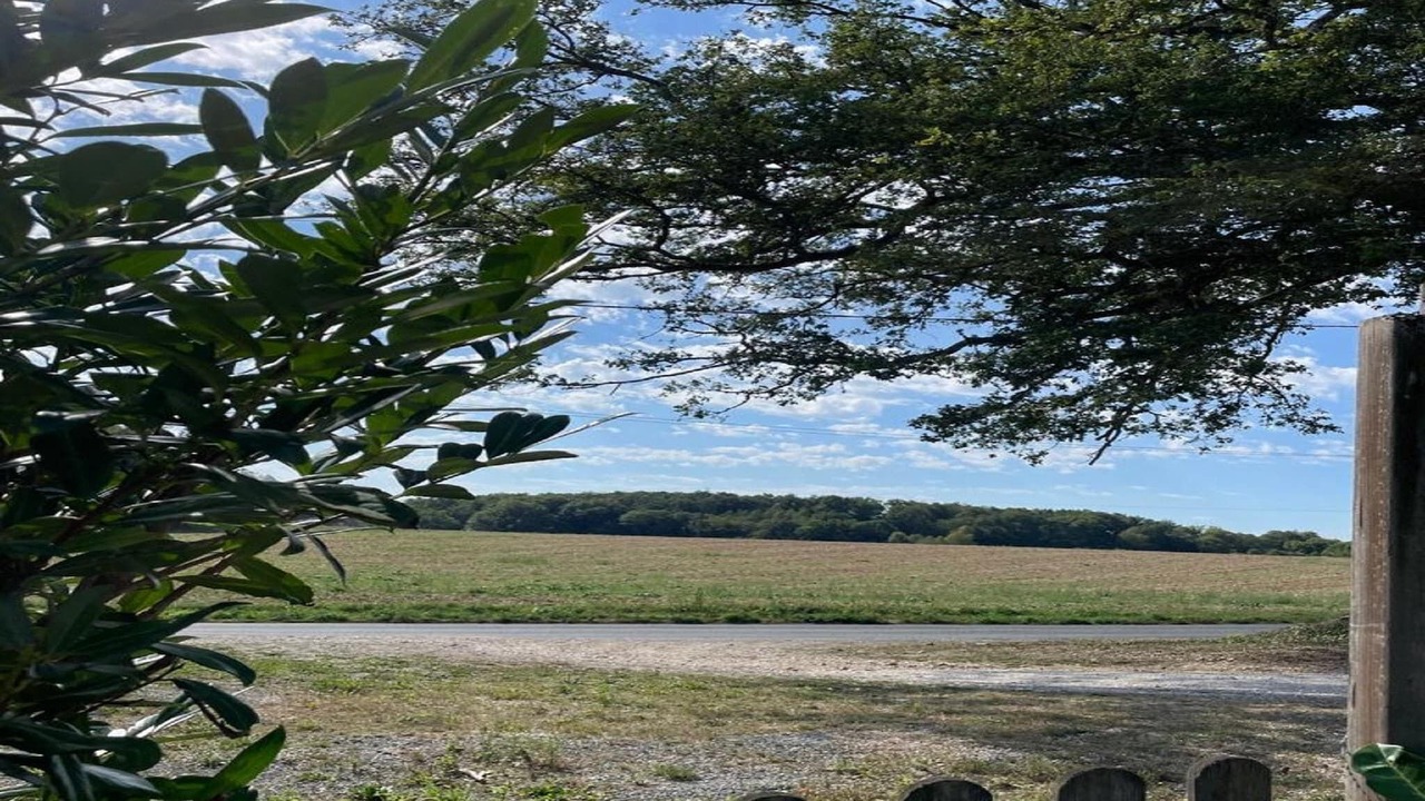 Photo of Others in Saint-Pierre-de-Frugie