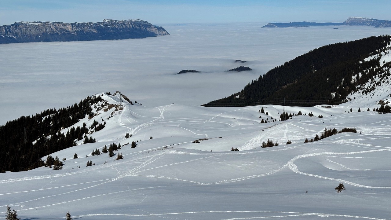 Photo of Others in La Terrasse
