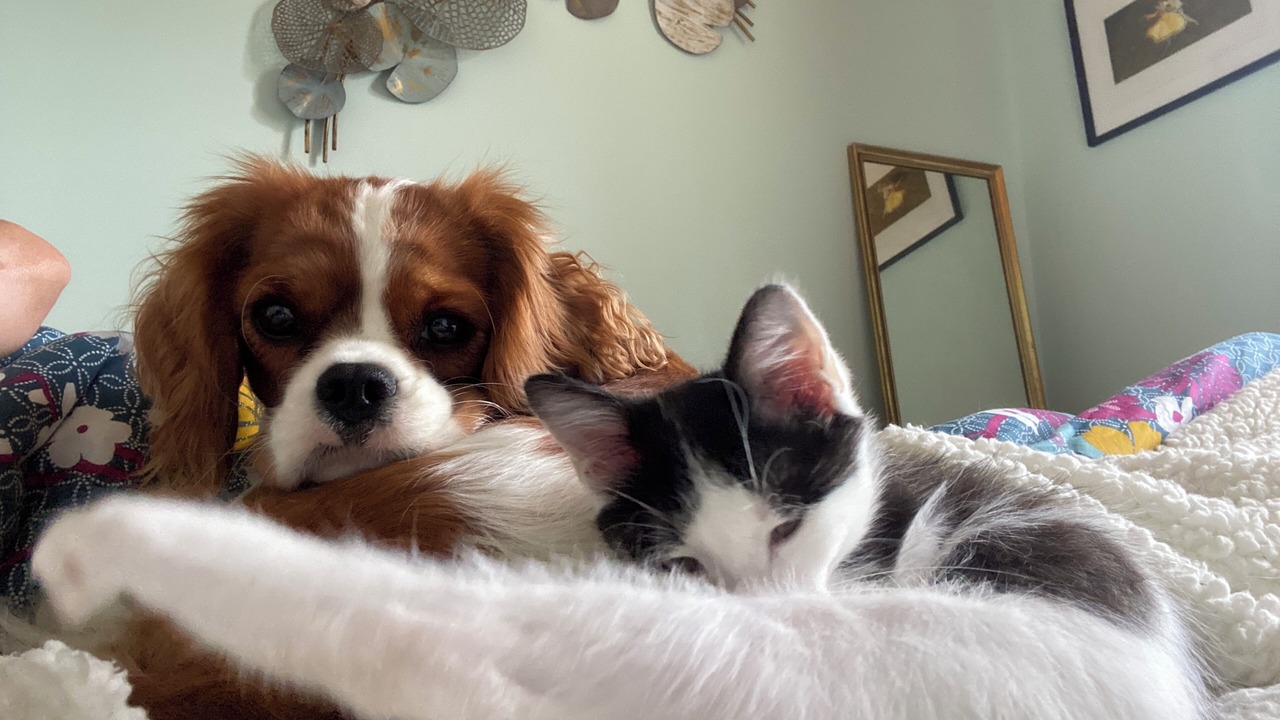 Photo of Others in La Terrasse