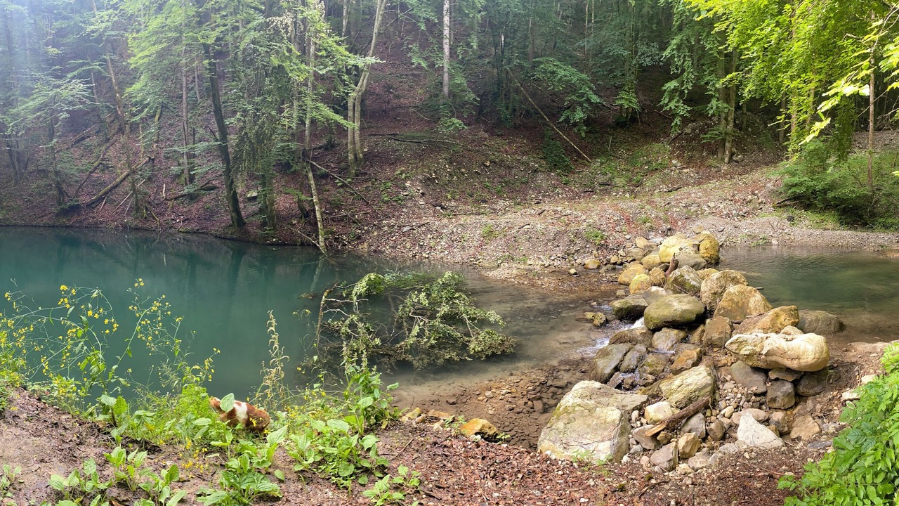 Photo of Others in La Terrasse