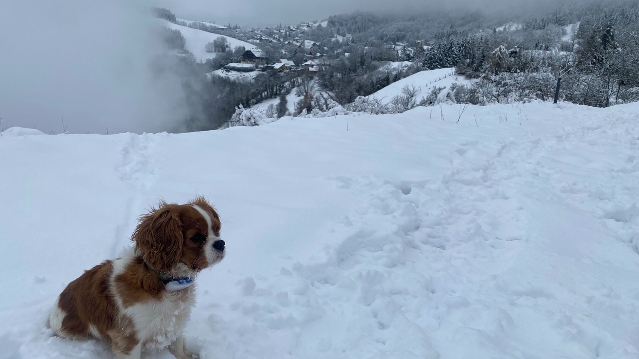 Photo of Others in La Terrasse