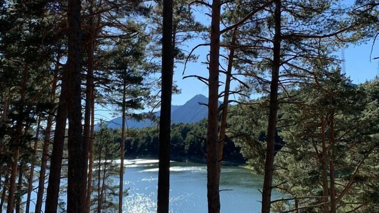 Photo of Outdoor in Engolasters