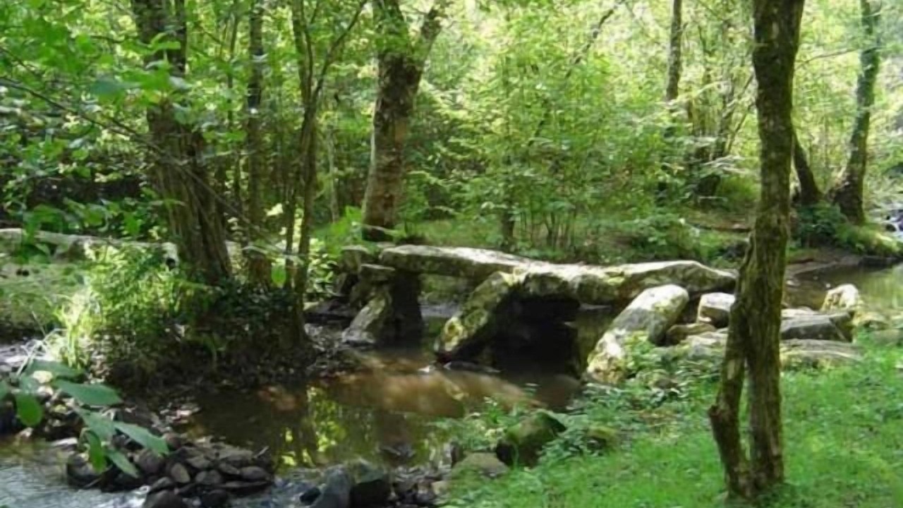 Photo of Others in Flavignac