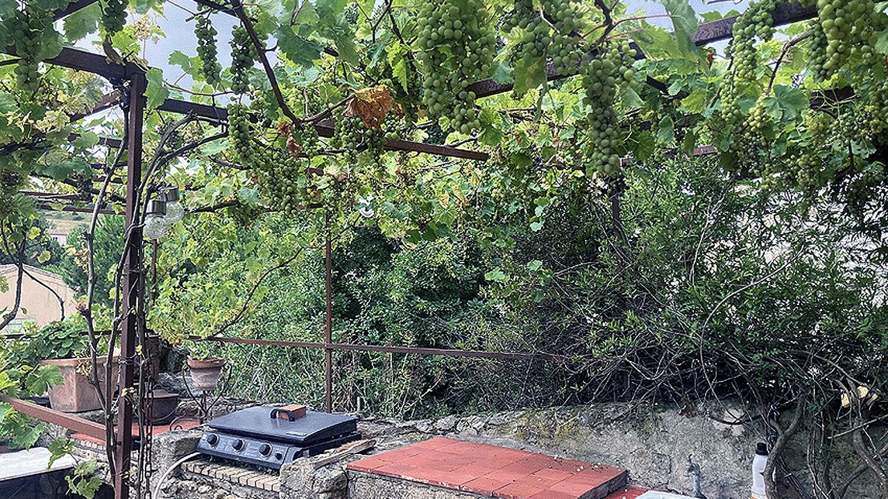 Photo of Outdoor in Laurac