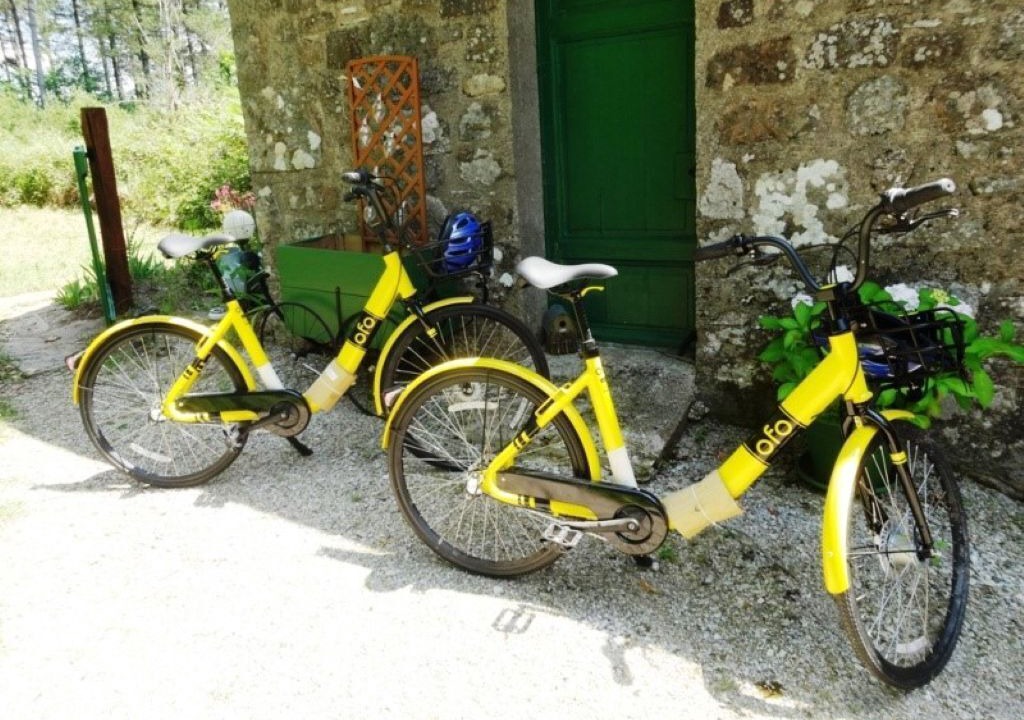 Photo of Outdoor in Roussayrolles