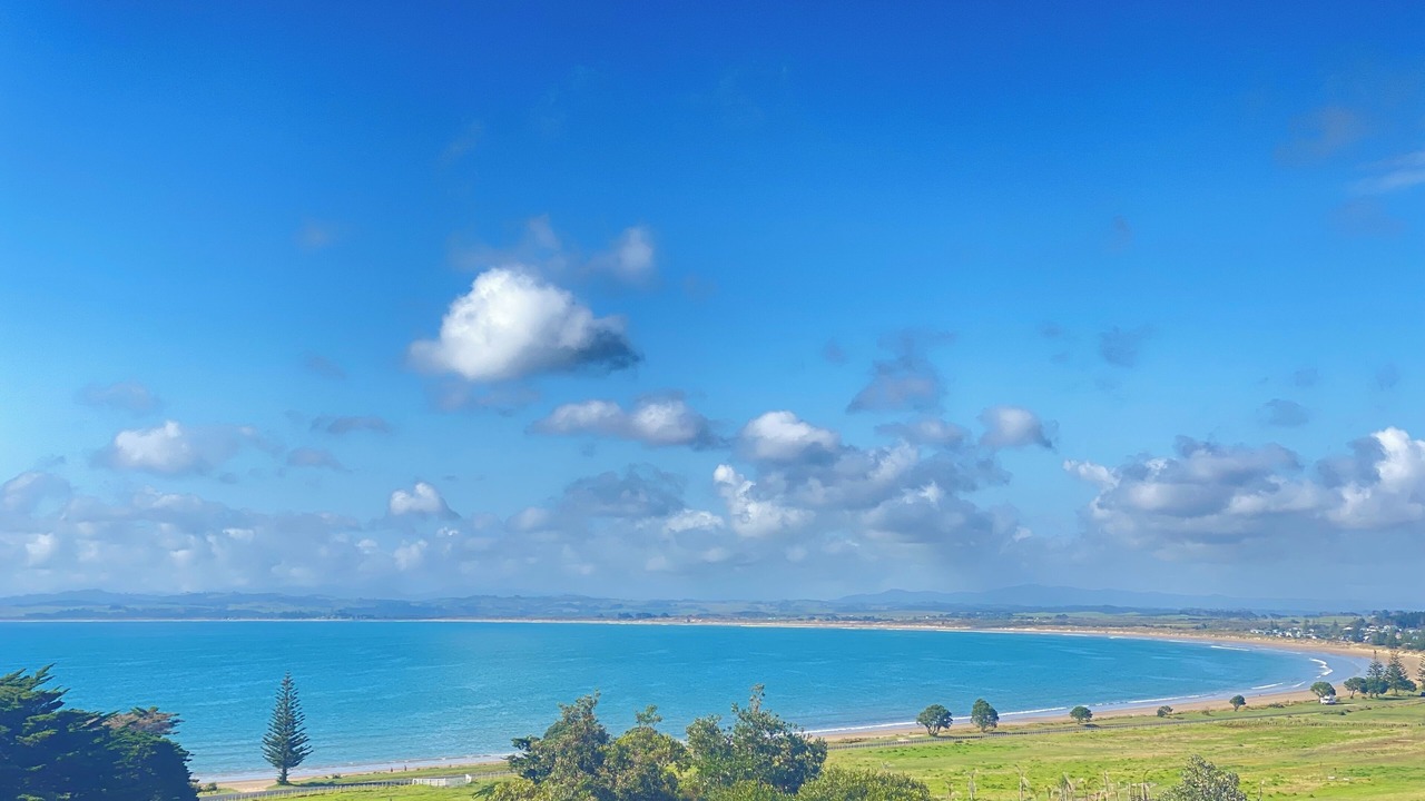 Photo of Others in Merita