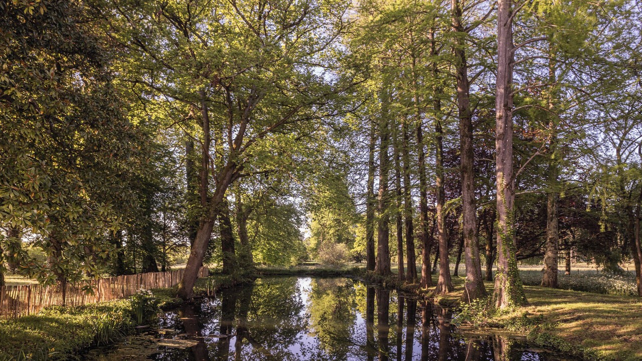 Photo of Outdoor in Le Pian-Medoc