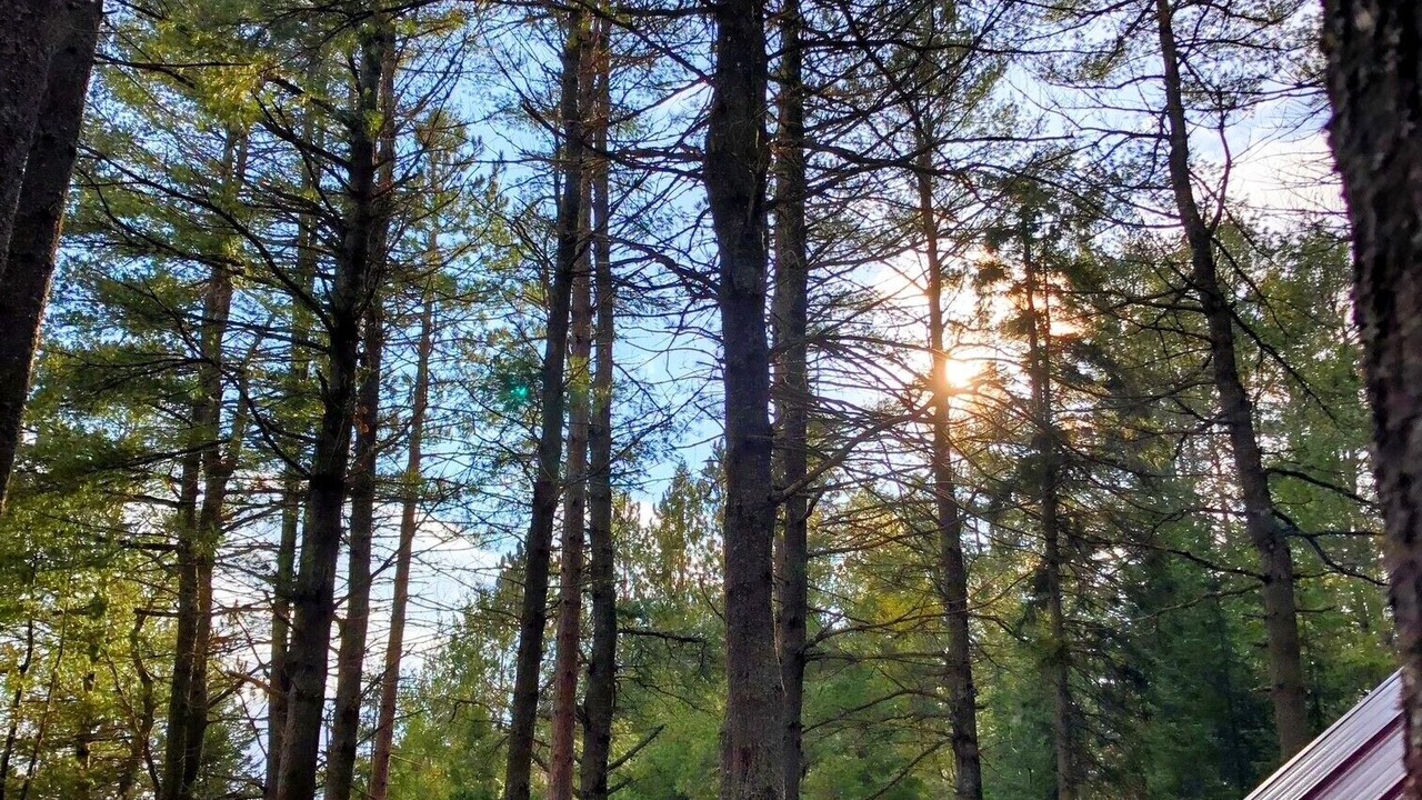 Photo of Others in Madawaska Valley