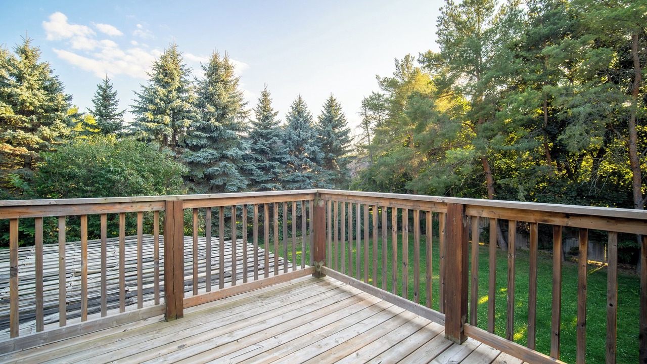 Photo of Outdoor in Collingwood