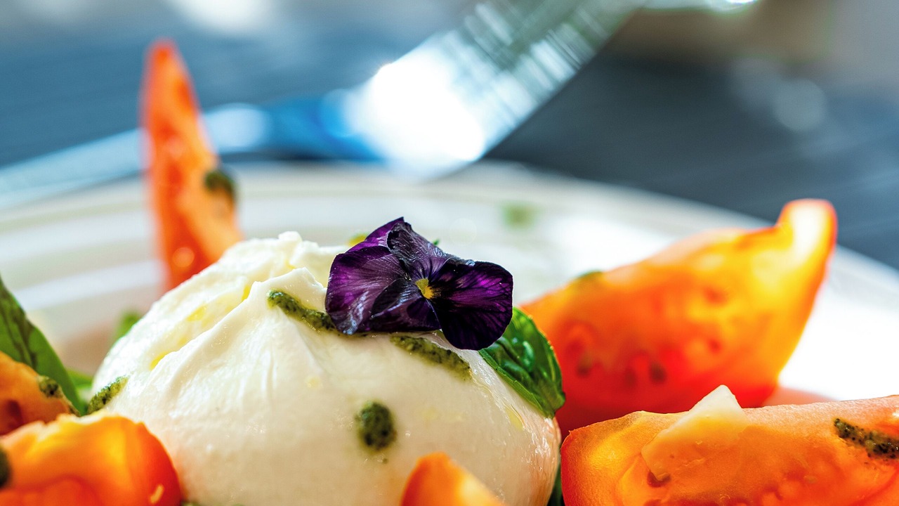 Photo of Others in Calais City Center