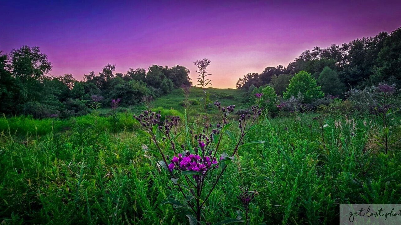 Photo of Outdoor in East Fultonham