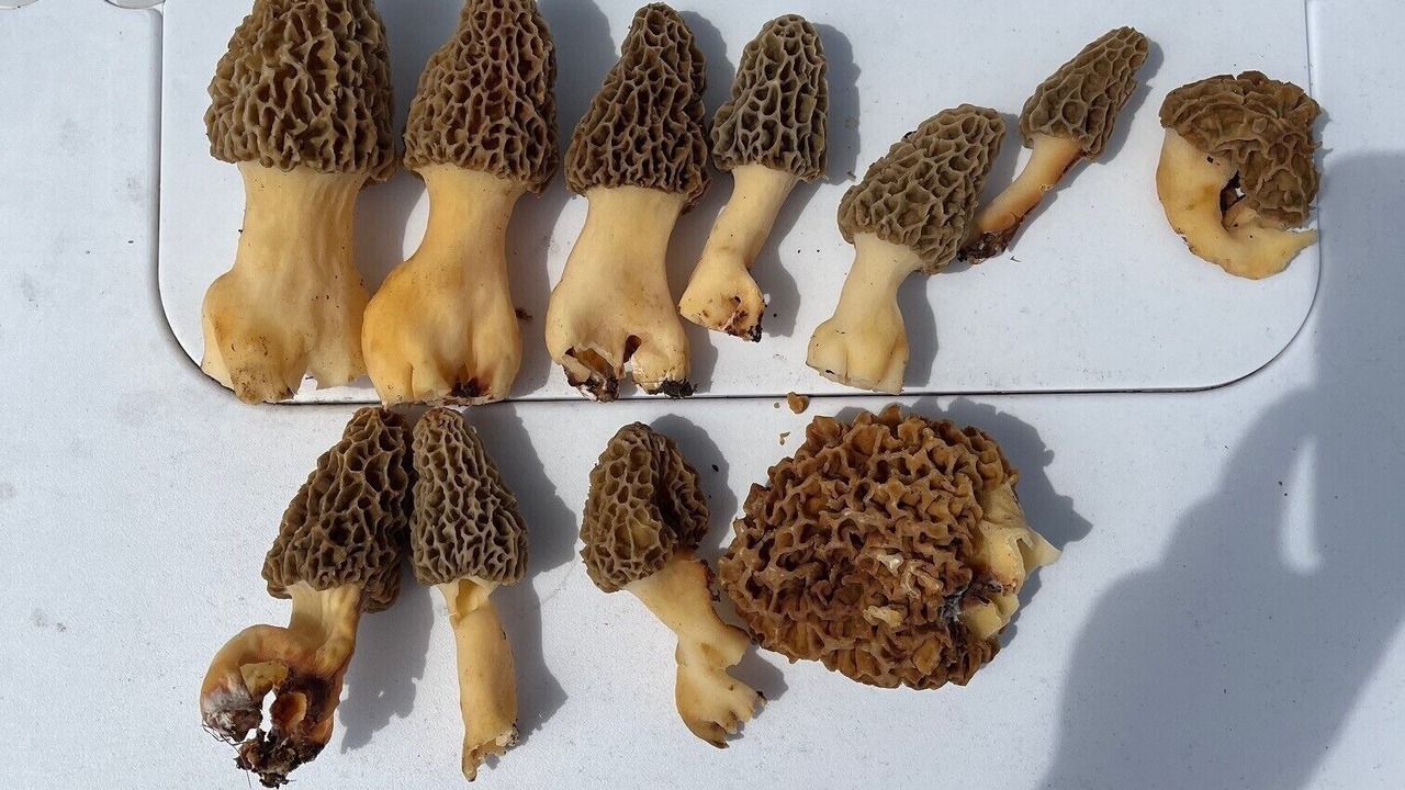 Photo of Outdoor in East Fultonham