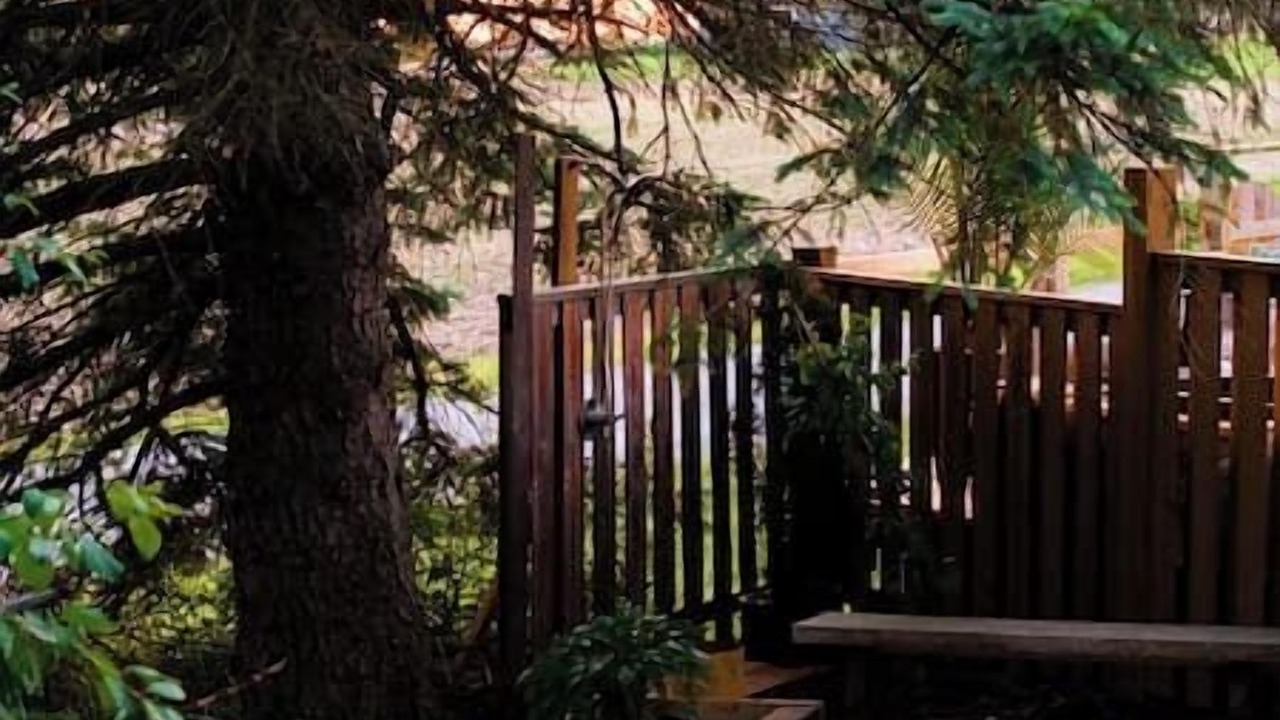 Photo of Outdoor in Caledonia