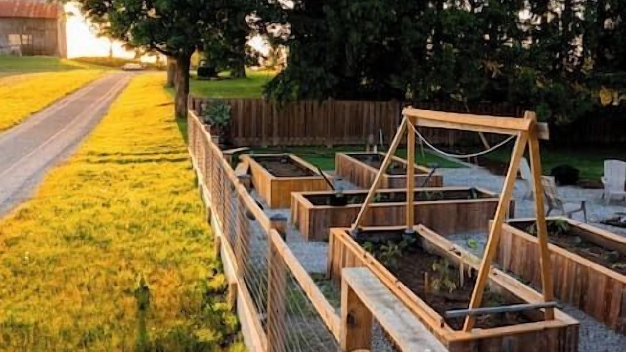 Photo of Outdoor in Caledonia